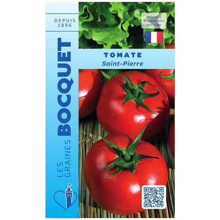Graine - Semence - Tomate Saint Pierre