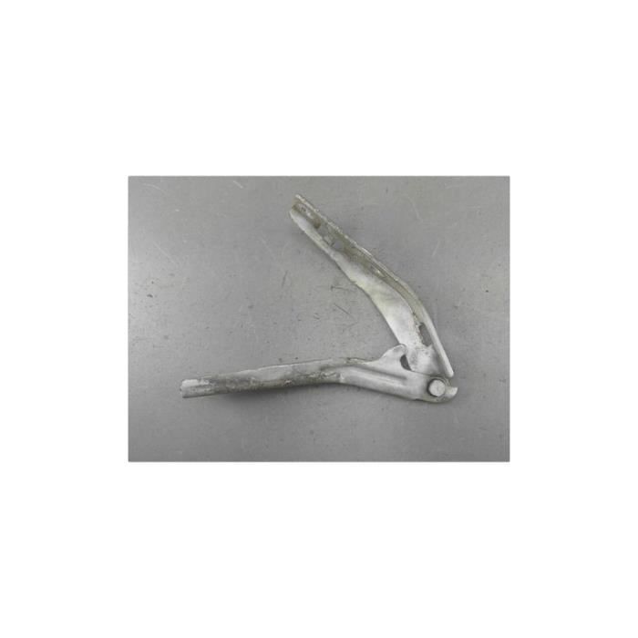 Vérin de capot TRISCAN 8710 11136 | MonPetitMécano
