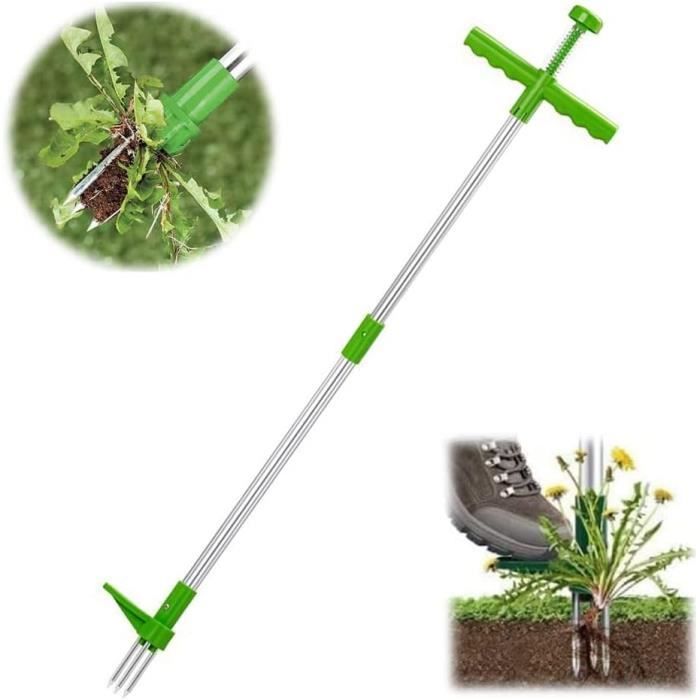 Periotome (extracteur De Racine) à Vis Manuel Medentra - Pour Extraction Dentaire (molaires, Dents Cassées), Acier Inoxydable