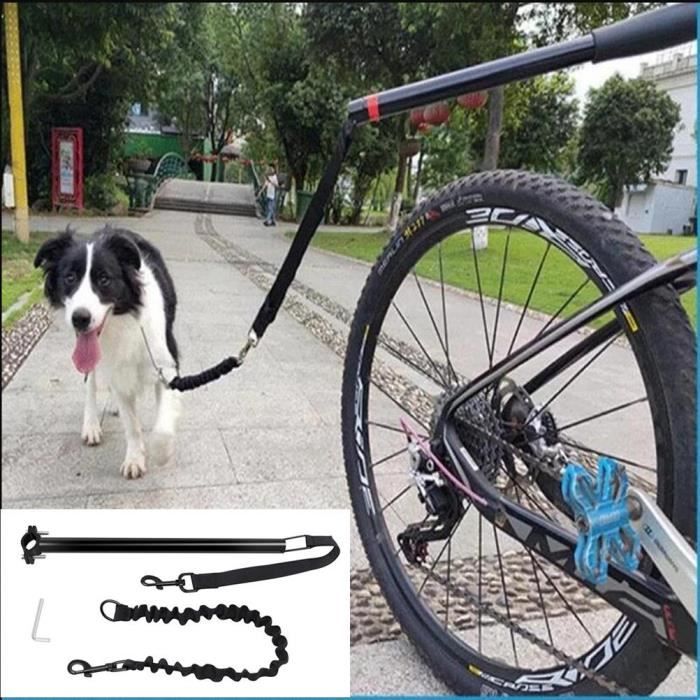 Meilleurs prix pour VGEBY Laisse Vélo Chien Mains Libres Exercice Jogging