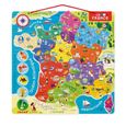 Puzzle France Magnétique 93 pcs (bois) - JANOD - Nouvelles régions 2016 - Dès 7 ans-1