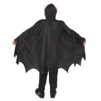 Batman en Robin Kostuums voor mannen, vrouwen en kinderen