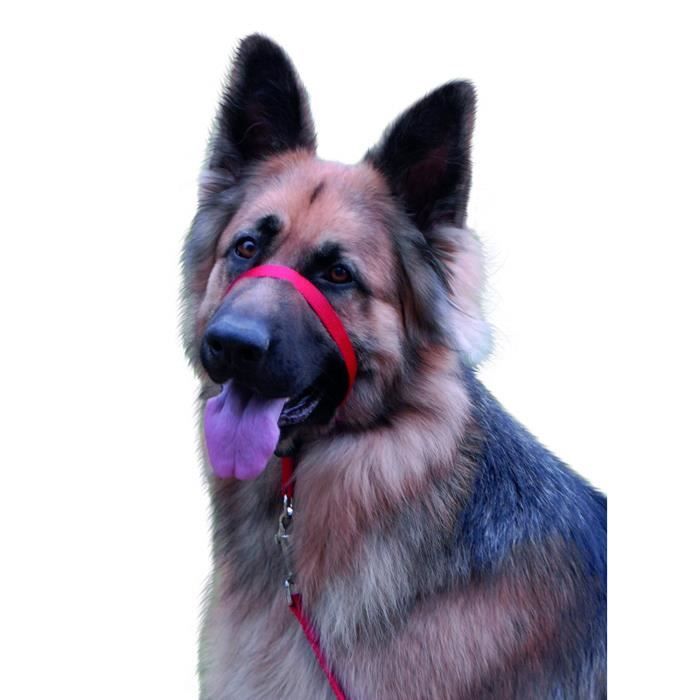 Beaphar Canac Gentle Leader Headcollar Black Size Large 17950