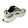 Nike Air Pegasus Trail 3 Hommes Running Trainers Dv3035 Sneakers Chaussures 001-2