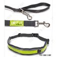 TD® kit promenade chien laisse collier banane ensemble set corde sangle reflechissant animaux de compagnie elastique retractable-3