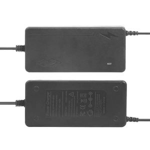 Chargeur Rapide Pour Vélo électrique FLYER - 48V 4,8A - Compatible BULLS VUCA EVO X 1 - Neuf