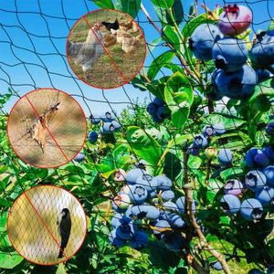 Filet Anti-oiseaux 5x10m + 100 Attaches Nylon - Protection Jardin Potager | Nylon Résistant | Pour Fruits Et Légumes