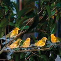 Guirlande oiseau solaire Solaire - FISHTEC - 5 oiseaux - Pinces d'attache transparentes - Guirlande Intérieur & Extérieur - Cable