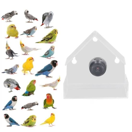 LIU-7427618649835-Mangeoire à oiseaux intelligente avec caméra