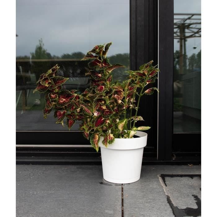 Pot à réserve d'eau GARDEN ID Glamour 40 cm Surface granuleuse Intérieurextérieur Design épuré.