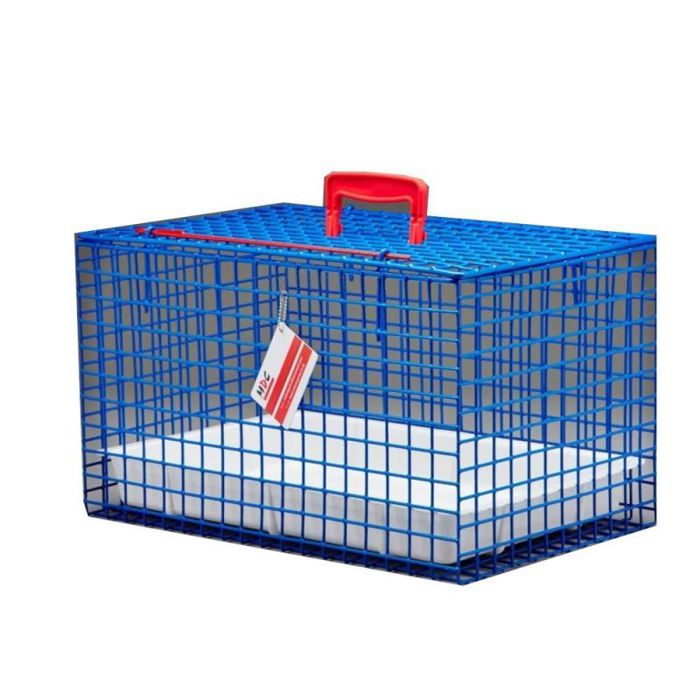 Cage de transport - MDC EXPORTS - P236-350B - Bleu - 46x29x29 cm - Pour chat et petit animal