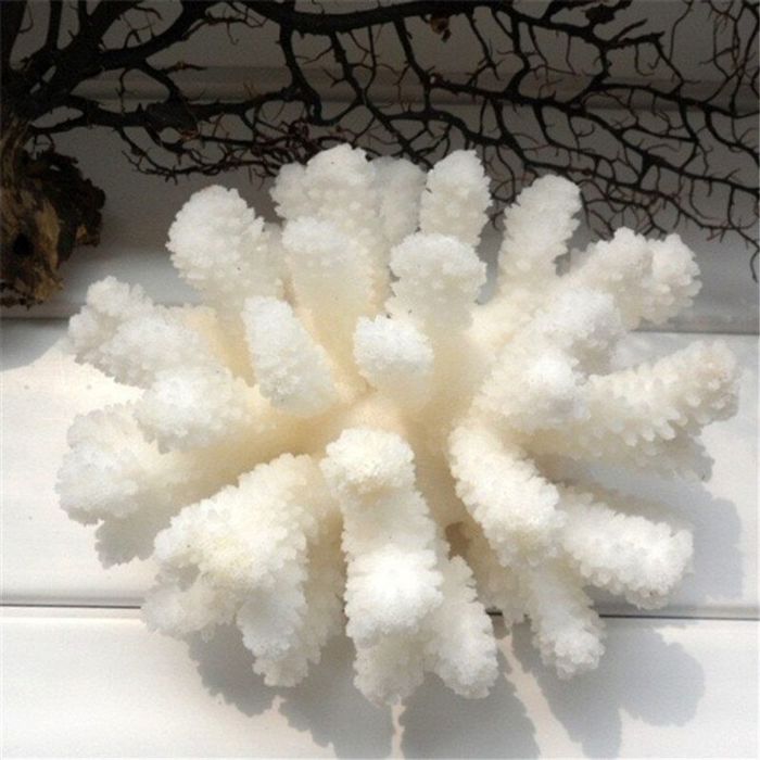 Meilleurs prix pour Corail blanc 100 % naturel 12 à 14 cm pour aquarium aménagement paysager décoration dintérieur