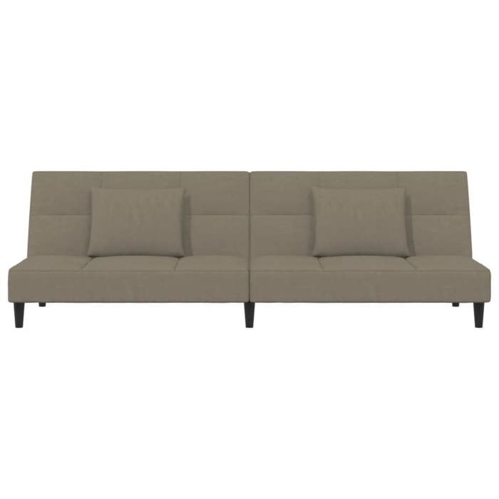 Gris SOFA Convertible - Moderne - Canapé-lit - à 2 places - 2 personnes - avec deux oreillers - Gris clair Velours C733