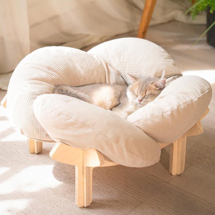 Panier Chat En Forme De Pétale Lit Pour Chat Design Avec Structure En Bouleau Robuste (2 6 Kg) Coussin Pour Douillet Pour-A Panier Chat En Forme De Pétale Lit Pour Chat Design Avec Structure En Bouleau Robuste (2 6 Kg) Coussin Pour Douillet Pour-A
