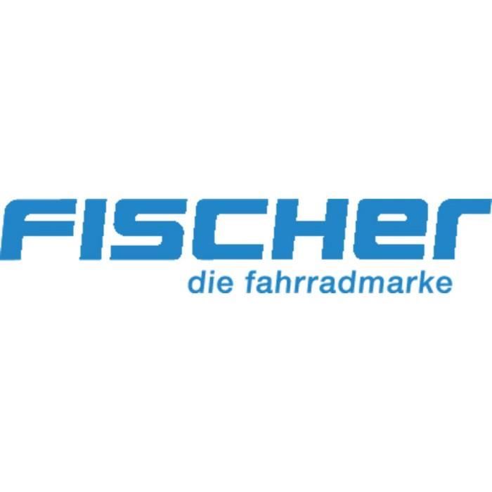 Pompe fixe Fischer Fahrrad Profi 85580 Profi 1 pc(s)