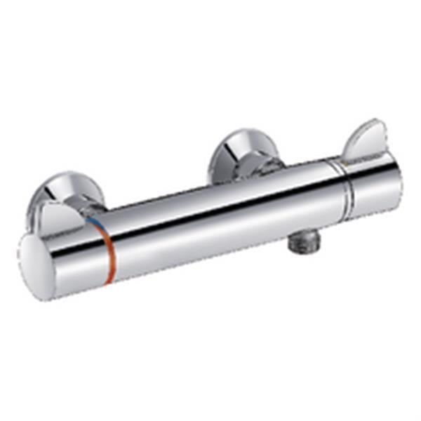 Delabie Mitigeur thermostatique Securitherm pour douche réf H9741S