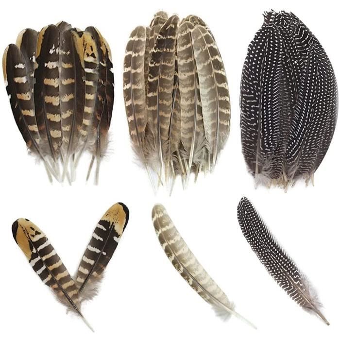 30 Plumes Naturelles De Faisan - Assortiment Marron 15-25cm Pour Artisanat, Déco, Créativité - Plumes Tachetées