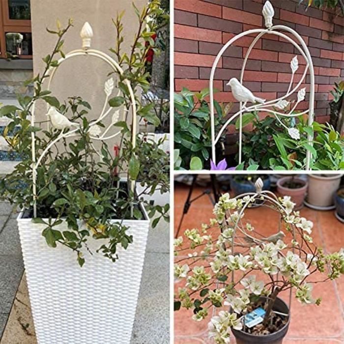 Set De 3 Plantes D'intérieur Avec Treillis - Chlorophytum, Hedera, Scindapsus - Pots 9cm