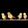 Guirlande oiseau solaire Solaire - FISHTEC - 5 oiseaux - Pinces d'attache transparentes - Guirlande Intérieur & Extérieur - Cable-3