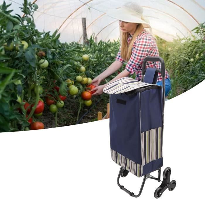 Shipenophy Caddie pliable Chariot de courses pliable pour personnes âgées, chariot à légumes