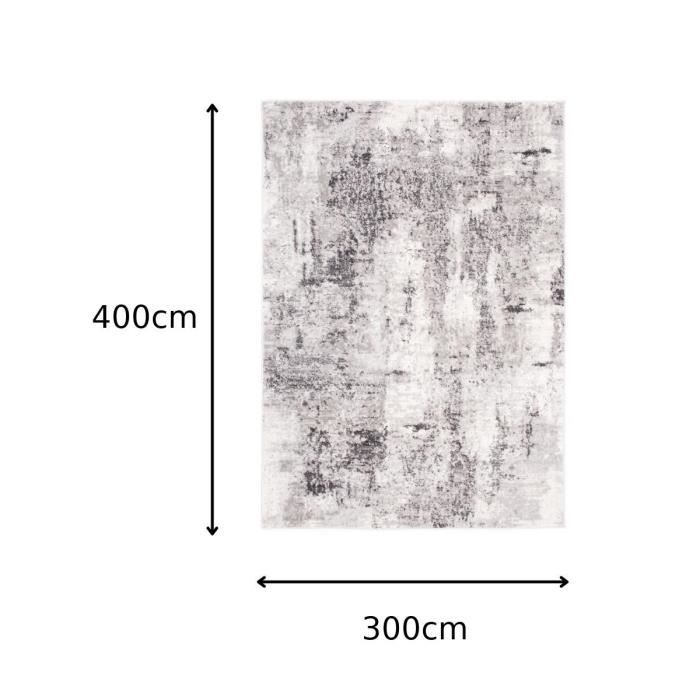 TAPISO Tapis Salon Poils Ras Sky Gris Clair Crème Vintage Polyester ...
