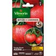Graines de Tomate Agora HF1 - VILMORIN - Type ronde rouge - Rustique et vigoureuse - Fruits réguliers-0