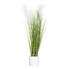ATMOSPHERA CRÉATEUR D'INTÉRIEUR Plante artificielle "Plumeau" pot ciment H70cm - Atmosphera createur d'interieur - Blanc