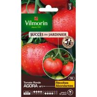 Graines de Tomate Agora HF1 - VILMORIN - Type ronde rouge - Rustique et vigoureuse - Fruits réguliers
