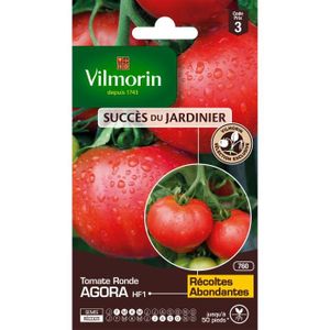 GRAINE - SEMENCE Graines de Tomate Agora HF1 - VILMORIN - Type rond