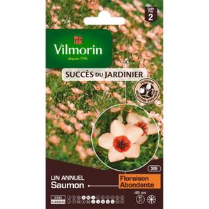 GRAINE - SEMENCE VILMORIN Lin annuel saumon