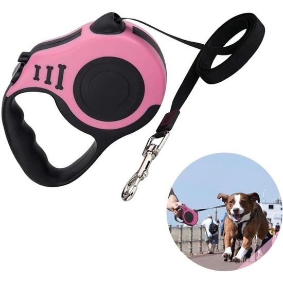 Laisse Enrouleur Rétractable Pour Chien Et Chat - 5 Mètres, Anti-enchevêtrement - Pour Animaux Jusqu'à 20 Kg