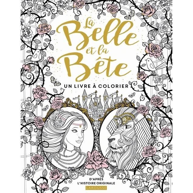 la belle et bete livre cdiscount coloriage reine des neiges ballons