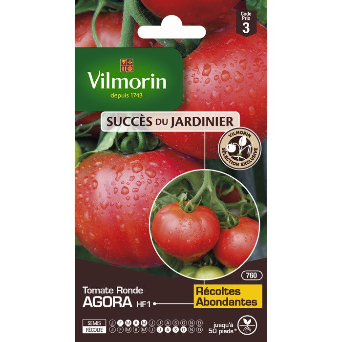 VILMORIN Tomate Agora HF1 Sachet de graines - Création Vilmorin