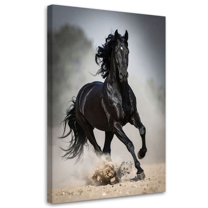 Toile imprimée cheval noir - FEEBY - 70x100 cm - À suspendre - Toile canvas 240 g/m2 - Rectangulaire - Animaux