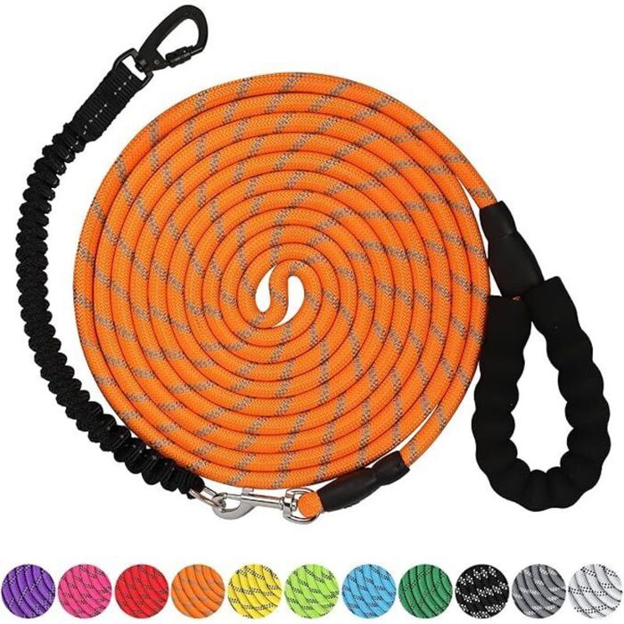 Laisse pour chien 10 m – Corde nylon ultra-durable – Poignée rembourrée ergonomique – Fermoir pivotant pour contrôle optimal