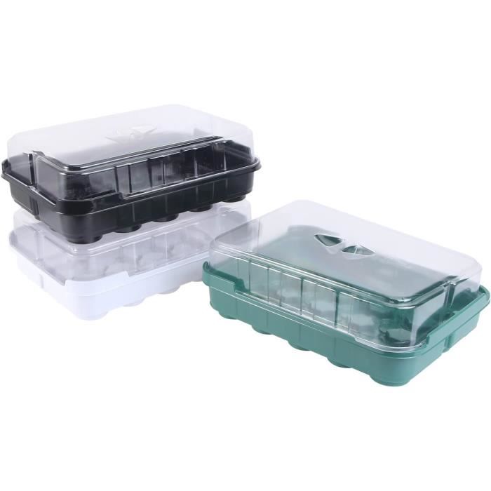 Croissance Des Plantes : Définition Et Explications