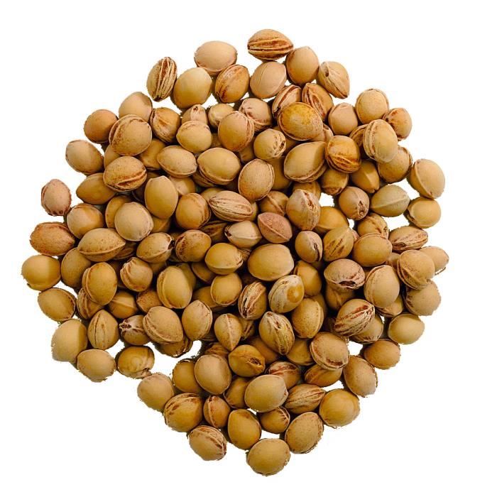 Noyaux de cerise, matériau de rembourrage, 500 g Cdiscount Santé Mieux vivre