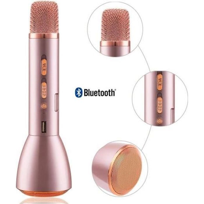 Haut-parleur personnalisé karaoké haut-parleur Bluetooth haut-parleur  karaoké avec micro haut-parleur portable karaoké grossiste