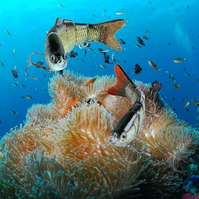 Générique Appât de Natation bionique Multi-articulés,leurres de pêche bioniques Qui nagent Seuls,leurre de Natation bionique 3D adapté pour Eau Douce et Eau Salée,Produits en Plastique (AB