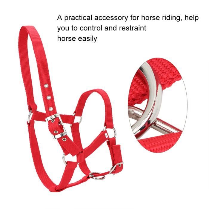 Muselière réglable en cuir pour grand chien