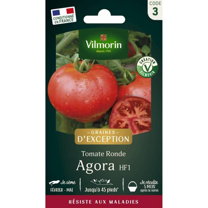 Graines de Tomate Agora HF1 - VILMORIN - Type ronde rouge - Rustique et vigoureuse - Fruits réguliers