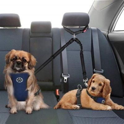 Ceinture de sécurité voiture pour chien, laisse réglable, Double tête en  Nylon, collier de sécurité, accessoires
