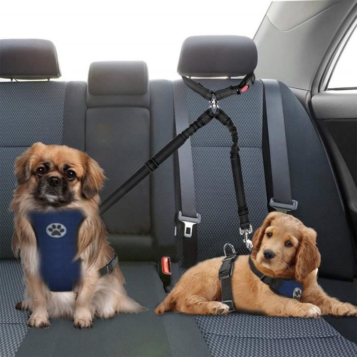 https://www.cdiscount.com/pdt2/8/0/2/2/700x700/auc1688604609802/rw/accessoires-voiture-pour-chiens-ceinture-securit.jpg