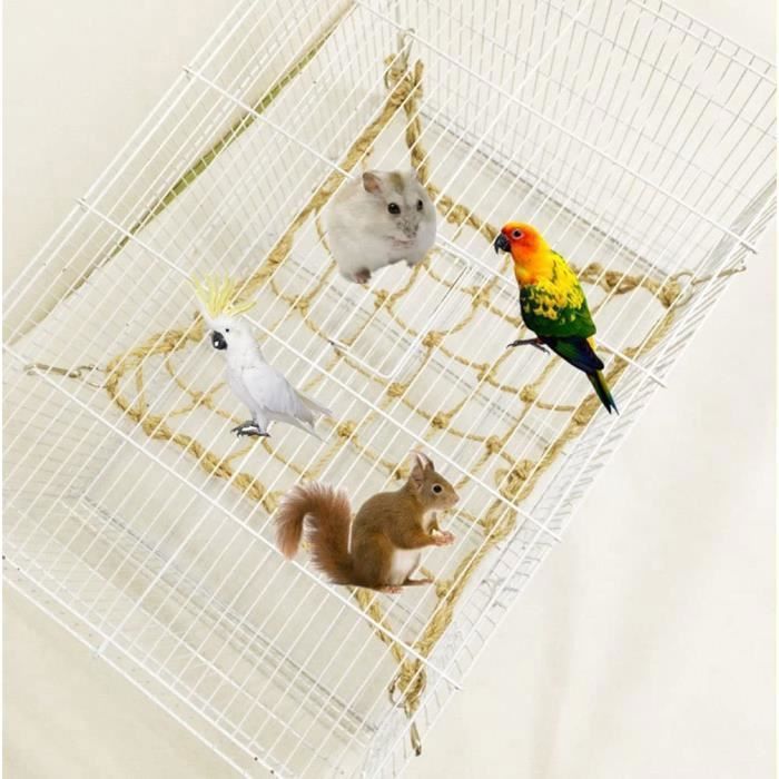 Jouet Corde Élastique Pour Oiseaux ASOCEA - 100cm Avec Cloche - Perchoir Escalade Perroquets