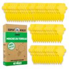Pièges collants pour mouches- Super Ninja - PFN22667 - 60 pièges