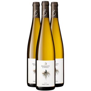 VIN BLANC Domaine Baumann-Zirgel Alsace Pinot Gris 2022 - Vi