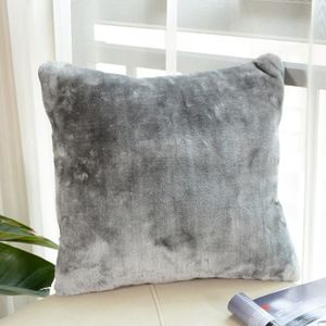 Grand Coussin Canapé
