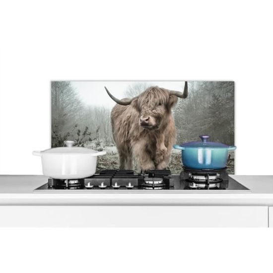 Poster d'extérieur - Highlander écossais - Animaux - Brun - Vache