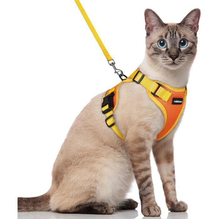 Comparer les prix de harnais chat laisse pour chat harnais souple et réglable anti-fuite veste respiranteavec bandes réfléchissantes Orange et Jaune S
