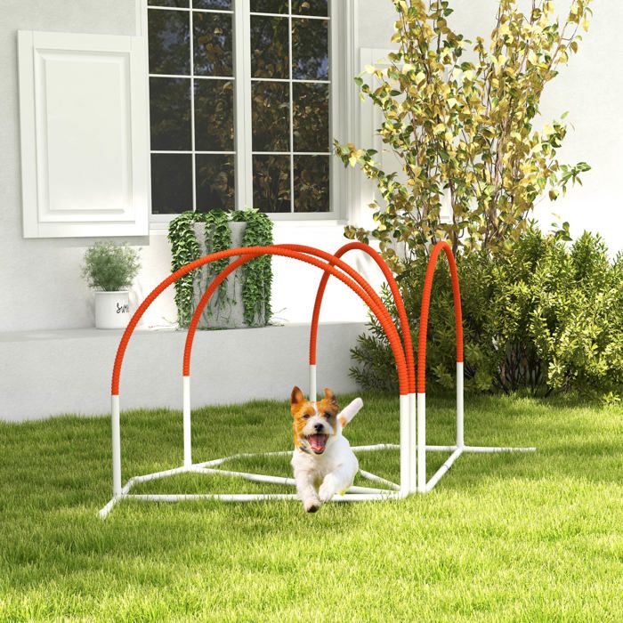 MOTHINESSTO2290-Lot de 4 pièces déquipement agility- hooper agility - arceaux entrainement pour chien obstacle avec sac de transpo